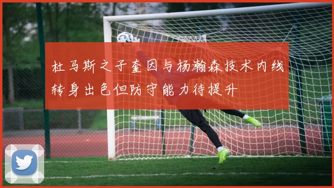 杜马斯之子奎因与杨瀚森技术内线转身出色但防守能力待提升